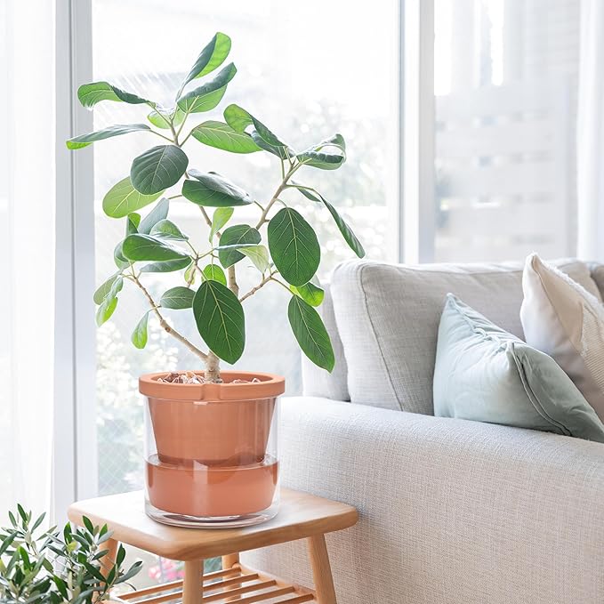 D'vine Dev 10 Inch Design Self Watering Pot for Indoor Plants, Terracotta Planter with Cylinder Glass Cup, Set of 1, 37-X-D-1