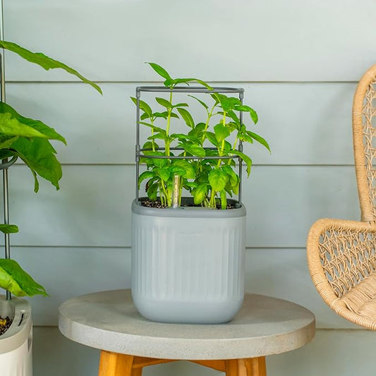 Vego garden Mini Planter Indoor Pots with Trellis Self-Watering Herb Countertop Planter for Climbing Vegetables Flowers Mint Plants Cage- Fog Gray