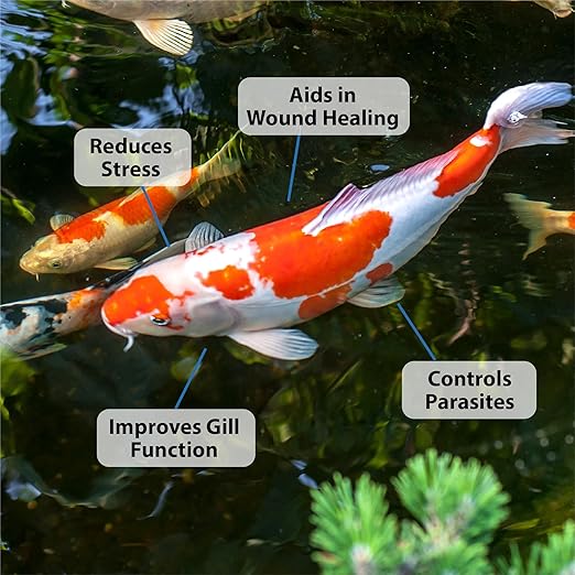 CrystalClear ParaSalt Outdoor Pond & Water Garden Rock Salt Crystals, Anti Fish Parasite, Beneficial Stress Reducing & Slime Coat Treatment, Natural Aquatic Additive, Koi, Plants & Pet Safe, 20 lbs