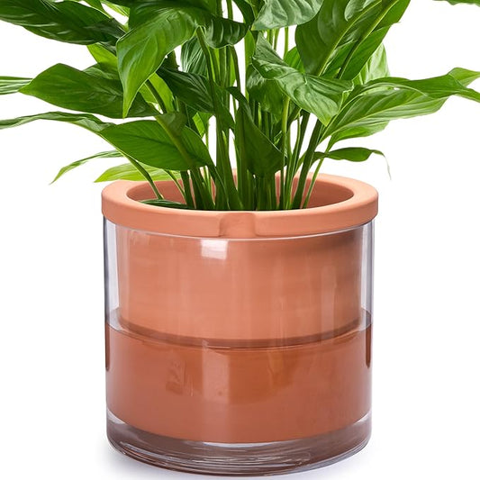 Phoenix Vine 10 Inch Self Watering Planter, White Terracotta Pot for Plants, Indoor Cylinder Terra Cotta Pot with Glass Vase