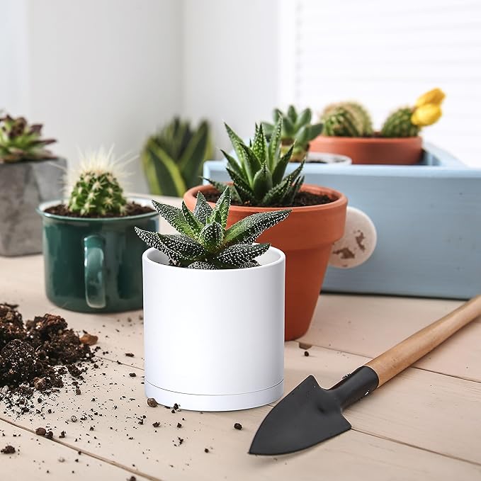 D'vine Dev 18 Pack 2.5 Inch Mini Plastic Plant Pots, Small Garden Planters for Plant with Drainage Holes and Saucers, White Color, 74-Z-B-5