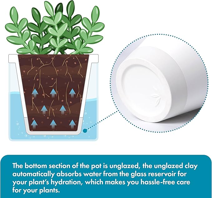 D'vine Dev 4 Inch Design Self Watering Planter for Indoor Plants, White Terracotta Pots with Cylinder Glass Cup, Set of 4, 37-Z-A-2-F