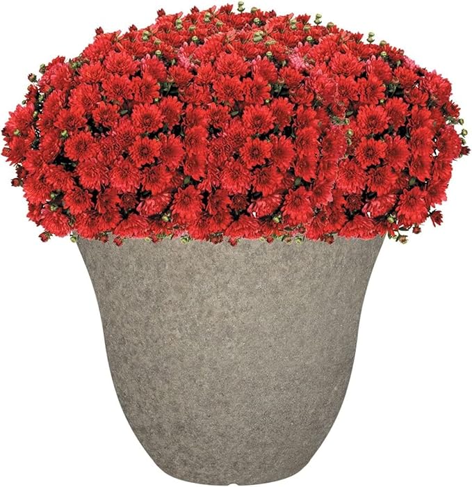 Classic Home and Garden Honeysuckle Resin Flower Pot Planter, Stone Grey, 13"