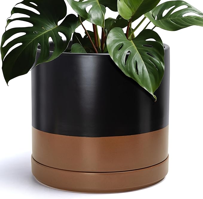 D'vine Dev 14 Inch Ceramic Planter Pot with Drainage Hole and Saucer, Indoor Cylinder Round Planter Pot, Black/Speckled Tan, 94-O-G-7