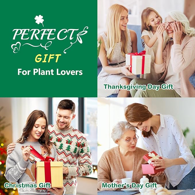 Bonsai Tree Kit, Bonsai Starter Kit for Growing Bonsai Plants with Tools, Grow Bonsai Tree Live Indoor, Garden Crafts Hobby Kits, Unique DIY Gardening Gifts for Men Women Mother