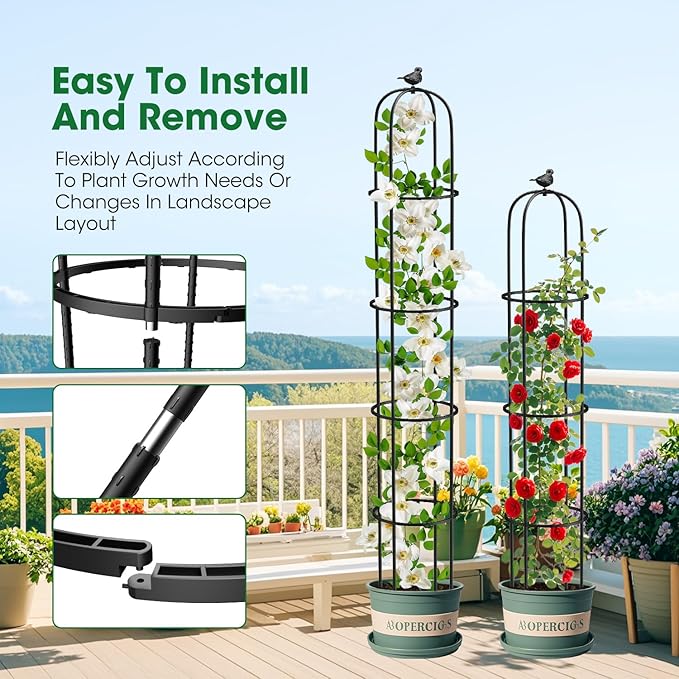 Garden Obelisk Trellis for Climbing Plants Outdoor 6.2 Ft Rose Bush Round Trellis for Pots Rustproof Metal Plant Flower Trellises for Clematis Vine Jasmine Support Outdoor Indoor (Black, 6.2ft)
