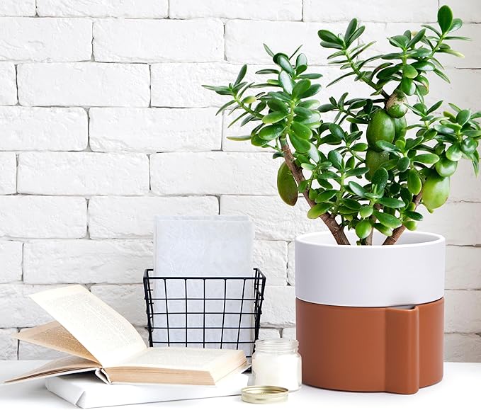 6.5 Inch Self-Watering Planter Pot with Terracotta Insert, Deep Water Reservoir, and Ceramic-Alike BPA-Free Plastic Pot for Plant, Modern Planter for Houseplants, Terracotta/White, 53-B-S-6