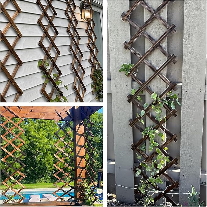 2 PCS Expandable Garden Trellis, 12" x 75" Wooden Lattice Fence Wall Panel Stretchable Decorative Fences Lattice Trellis for Climbing Plants Outdoor Ivy Vine Rose Clematis Garden Patio Room Decor (2)