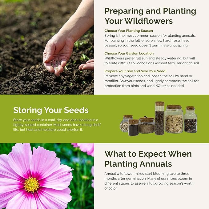 Eden Brothers Purple Rain Flower Mixed Seeds for Planting, 1 lb, 480,000+ Seeds with Zinnia Purple Prince & Violet Queen, Cosmos | Attracts Pollinators, Plant in Spring, Zones 3, 4, 5, 6, 7, 8, 9, 10