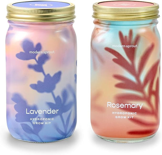 Modern Sprout Mason Garden Jar - Self-Watering Hydroponics Growing System Kit with Organic Herb Seeds - Jar Planter for Indoor Herb Garden - Seed Starter Kit - Home Decor & Gifting - Lavender+Rosemary