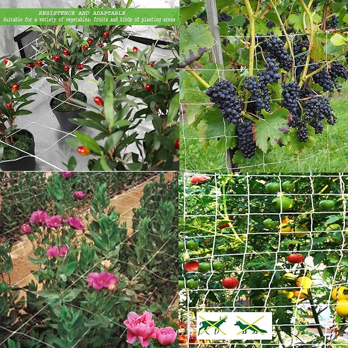 All-Weather Trellis Netting Mesh Plant Garden Vine Growing Flexible String Net (6" Mesh ployester, 5' Wx 60'L)