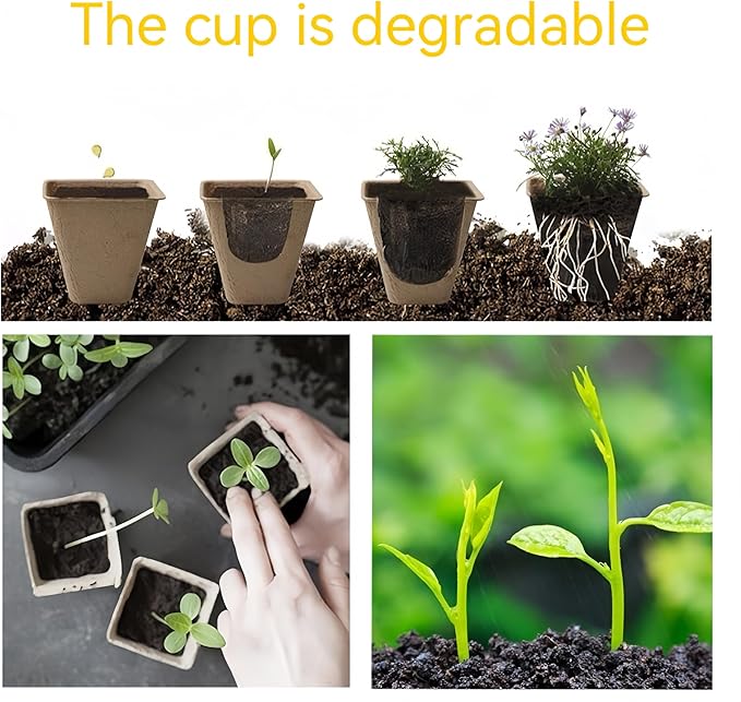 240 Cells Peat Pots Seed Starter Tray 24 Packs Biodegradable Seedling Pots Germination Trays Peat Pot for Seedling Organic Seed Starting Trays kit with 24 Labels 2 Transplant Tools