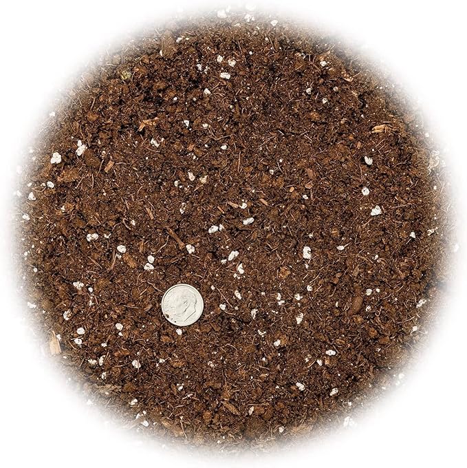 Citrus Tree Potting Soil Mix, Special Blend for Indoor Oranges, Lemons, Limes and More - (5 Quart Bag)