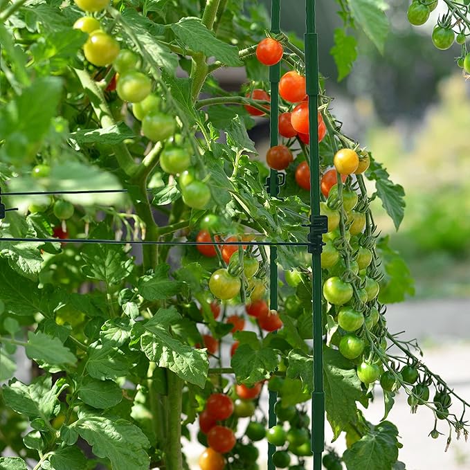 Gardzen Multi-use Tomato Cage Plants Support, Trellis Climbing Cage Stand for Pepper Eggplant Tomato Flowers