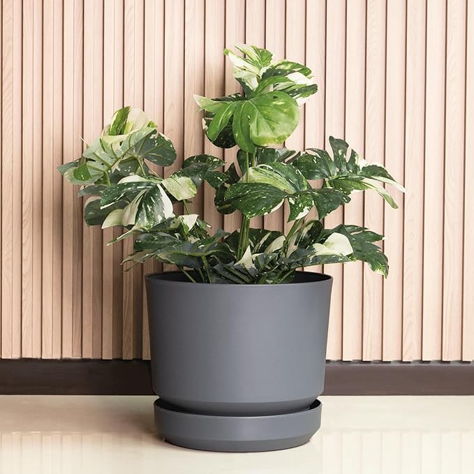 Elly Décor 8 inch Plastic Cylinder Planter Pot with Self-Watering Saucer and Drainage Hole,Lightweight & Extremely Durable, 8"x 8", Gray