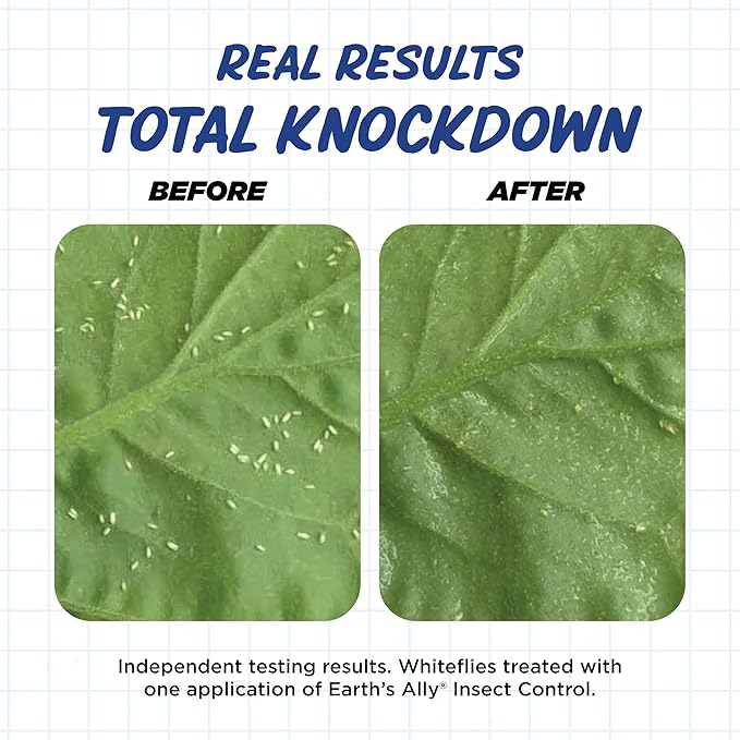 Earth's Ally Insect Control Concentrate for Plants 32 oz | Safe Outdoor & Indoor Plant Insecticide, Spider Mite, Aphid & Mealybug Killer - for Organic Garden & Household Plants