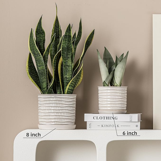 5.8 Inch Plant Pot: Ceramic Planter with Drainage Hole & Saucer - Cream White Flowerpot for Indoor & Outdoor Plants - with Separate Tray for Home & Office - Wave Embossed Design