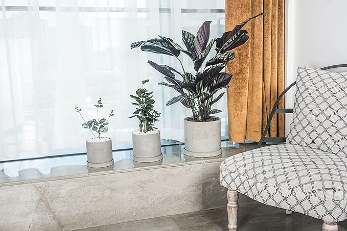 Ekirlin 6 Inch Flower Plant Pot Indoor - Grey Cement Garden Planter Concrete Planter with Drain Hole Saucer, Modern Succulents Containers for Home Decor, Office & Outdoor