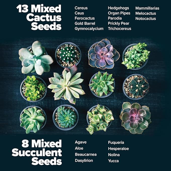 HOME GROWN Succulent & Cactus Seed Kit for Planting – [Enthusiasts Favorites] Premium Cactus & Succulent Starter Kit: 4 Planters, Drip Trays, Markers, Seeds Mix, Soil - DIY Gift Kits