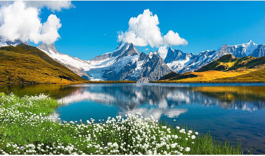 Mountains Lake Aquarium Background Bernese range View Fish Tank Background Switzerland Alps Grindelwald Valley Lake Terrarium Background Fantastic Natural Landscape Aquarium Fish Tank Decors 24x12in