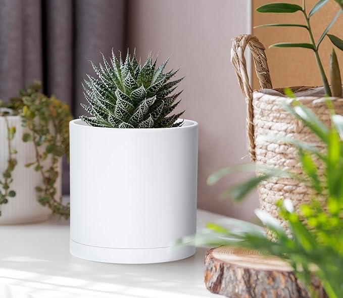 D'vine Dev 2 Pack 4 Inch Modern Plastic Plant Pots, Small Garden Planters for Plant with Drainage Holes and Saucers, White Color, 74-Z-E-1