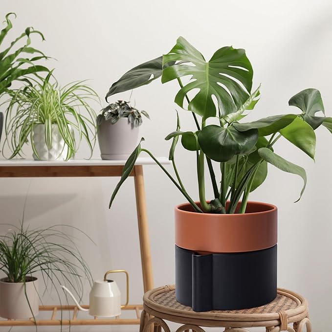 8 Inch Self-Watering Planter Pot with Terracotta Insert, Deep Water Reservoir, and Ceramic-Alike BPA-Free Plastic Planter Pot for Plant, Modern Planter for Houseplants, Black/Terracotta, 53-B-T-5