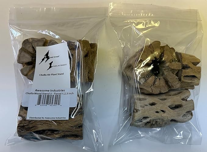 3 Natural Cholla Wood Air Plant Display Holders Tiered 1, 2 & 3 inch Individually Unique Round Decorative Stands