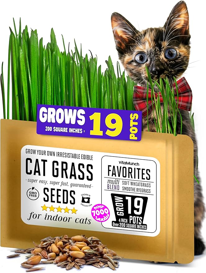 Cat Grass Seeds Favorites Blend Soft Wheatgrass & Smooth Ryegrass – Grows 19 Pots of Fresh Cat Grass for Indoor Cats – Easy & Fast – Small Pack Grows 200 Square inches of Edible cat Grass – Vitamunch