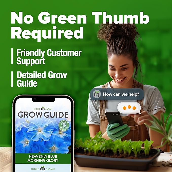 HOME GROWN 𝗨𝗦𝗔 𝗣𝗥𝗘𝗠𝗜𝗨𝗠 Heavenly Blue Morning Glory - 150 Heirloom Seeds for Planting, 𝗡𝗢𝗡-𝗚𝗠𝗢 Ideal for a Flower Garden That Attracts Pollinators and Birds (Ipomoea Tricolor)