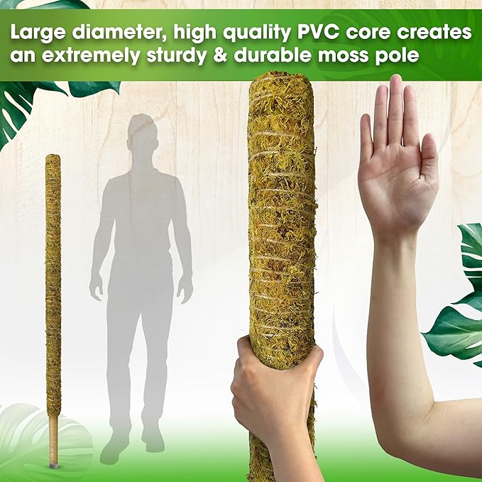 DUSPRO 59 Inches Non-Bendable Pole for Big Plants, Large Moss Pole for Plants Monstera, Plant Stakes for Indoor Plants, Monstera Plant Support, Plant Pole for Big Climbing Plants Indoor (1pc., 59'')