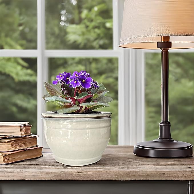 African Violet Pots Self Watering Round Ceramic Violet Pot (White, 6 inch)