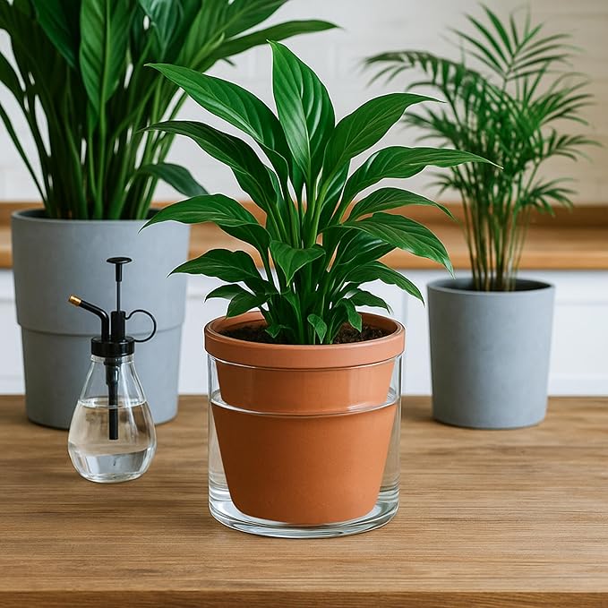 D'vine Dev 6 Inch Design Self Watering Pot for Indoor Plants, Terracotta Planter with Cylinder Glass Cup, 37-X-B-1