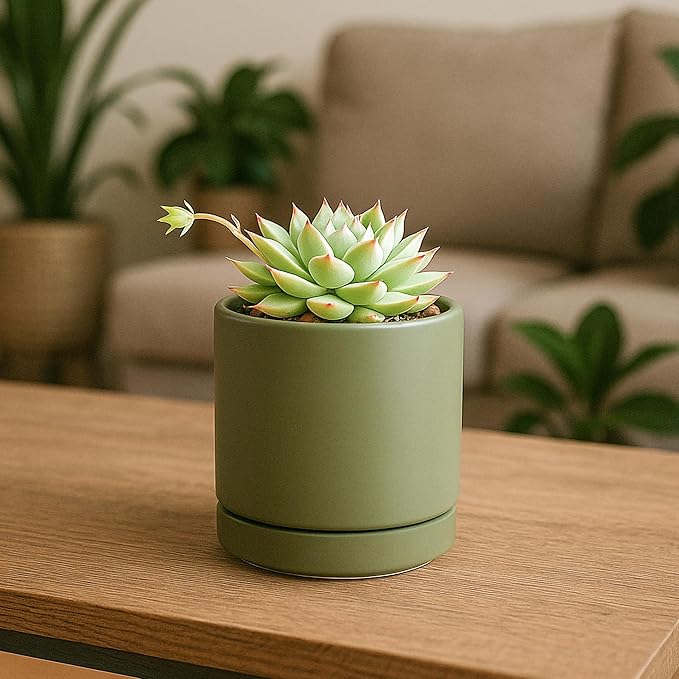 D'vine Dev Set of 2 Plants Pots, 3.5 Inch Ceramic Planter Pot for Plants with Drainage Hole and Saucer, Olive, 94-V-A-J