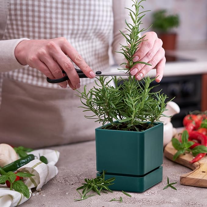 4 Inch Herb Planter Pot, Plastic Planter with Drainage Holes and Saucer, Modern Decorative Gardening Pot for Indoor Plants, Flowers, Herbs, Succulents, Green, Set of 4, 76-Y-C-4