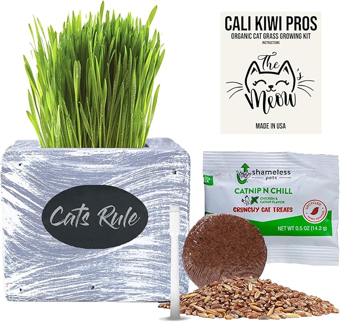 Cat Grass for Indoor Cats Kit – Organic Wheatgrass Seed & Soil, Hairball Remedy in Red Cedar Planter, Gift Box with Bonus Label, Pen & 10% Cat Treats Discount (White)