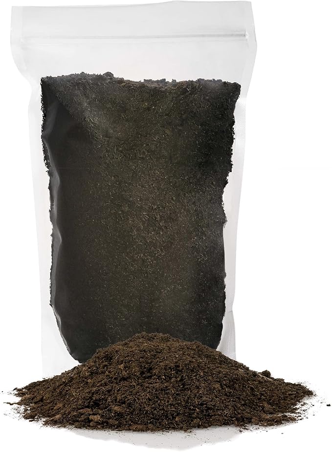 Premium Spanish Moss in Basil| Natural Preserved - Great Ground Cover - Filler for Potted Plants - by GARDENERA - 4 Quart Bag