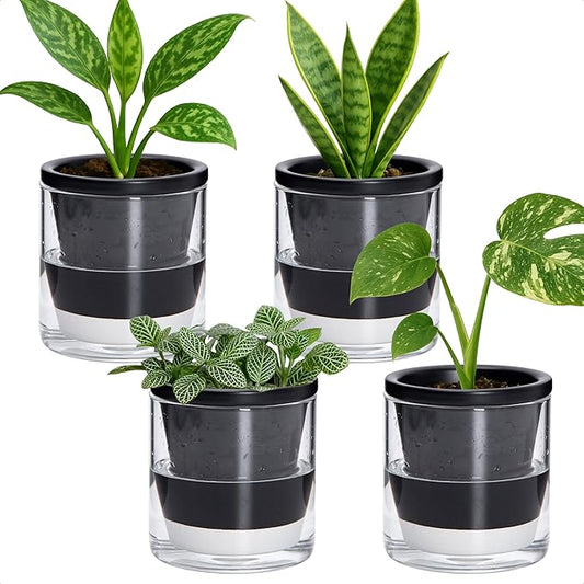 D'vine Dev 4 Inch Design Self Watering Planter for Indoor Plants, Black Terracotta Pot with Cylinder Glass Cup, Set of 4, 37-Z-A-3-F