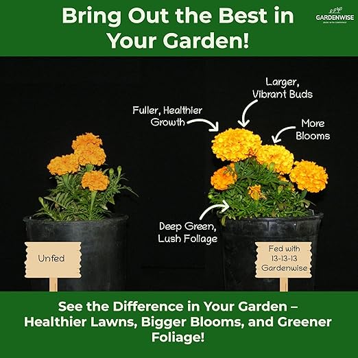 13-13-13 Slow Release Granular Fertilizer – All Purpose Plant Food 13 13 13 for Outdoor Grass, Vegetables, Roses, Flowers, Shrubs, Trees. Lawns, Gardens, Potted Plants (20 quarts)