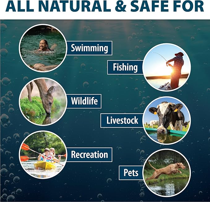 Airmax Pond Dye Packets Black DyeMond Colorant for Large Pond & Lake, Beneficial UV Blocking Color Concentrate, Maintain Clean & Clear Pond, Fish, Bird & Animal Safe, Easy Treatment, 2 Soluble Packets