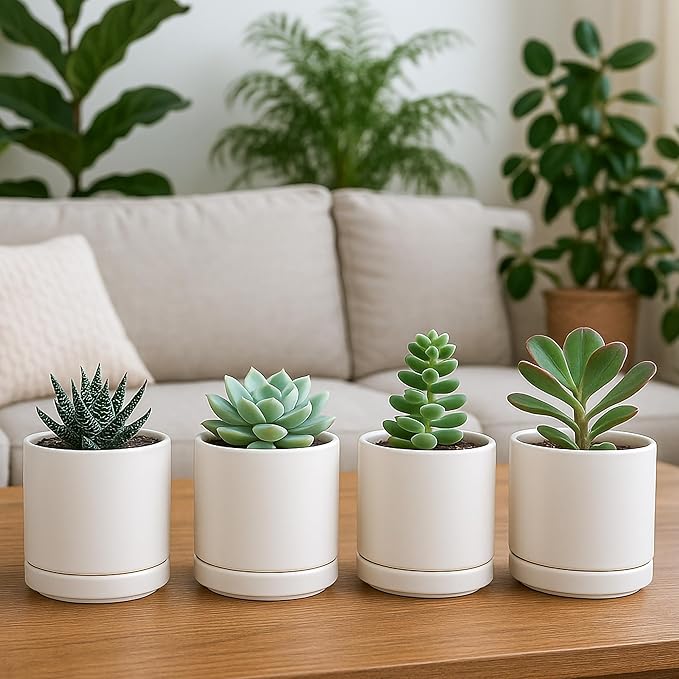 D'vine Dev Set of 4 Small Ceramic Plant Pots, 3.5 Inch Succulent Planter Pot for Plants with Drainage Hole and Saucer, Oatmeal, 94-X-A-8