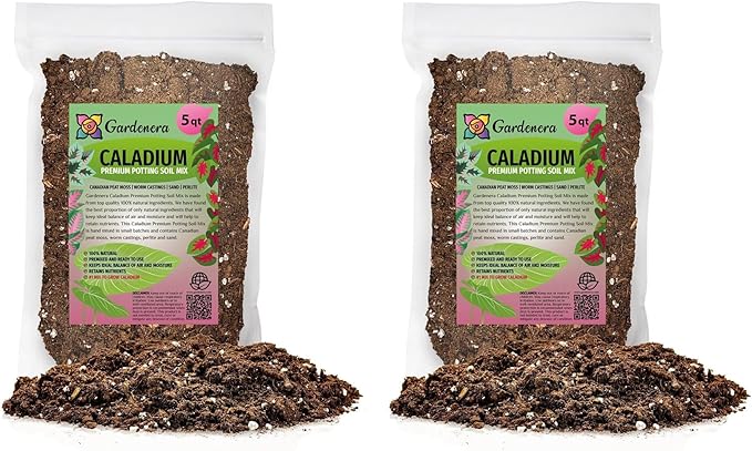 Caladium Plant Potting Soil - All-Natural Blend for Thriving Caladium Plants - Boosts Root Health and Foliage - 10 Quart