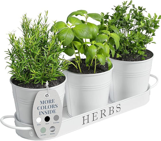 Barnyard Designs Indoor Herb Garden Planter Set with Tray, Metal Windowsill Plant Pots with Drainage for Outdoor or Indoor Plants, Set/3 (White)