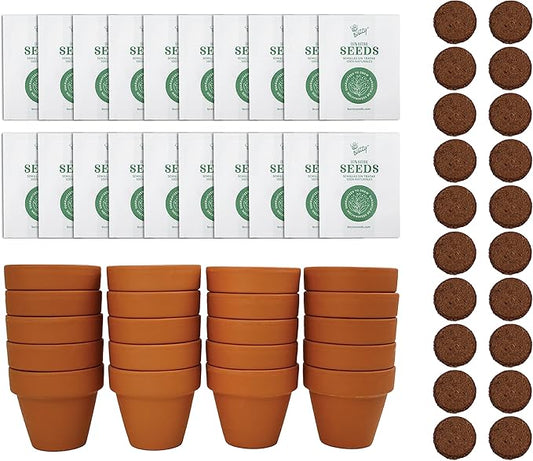Buzzy Seeds Terracotta Mini Grow Pots | Herb, Plant, Flower Starter Kit for Kids & Adults | Assorted 20-Pack, | Lavender Seeds Guaranteed to Grow | Best Indoor Grow Your Own Plant Gardening Gift