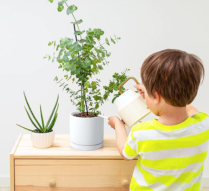 D'vine Dev Ceramic Planter Pot with Drainage Hole and Saucer, Indoor Cylinder Round Flower Pot, 4.6 Inch, White, 94-O-B-1