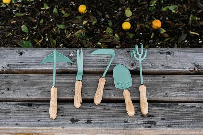 Barebones Triangle Hoe - Stainless Steel Blade Japanese Gardening Tools for Weeding Long Handle and Hand Hoe (Ash/Mint)