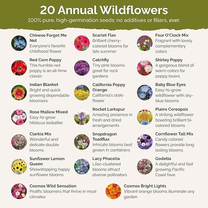 Eden Brothers All Annual Wildflower Mixed Seeds for Planting, 1/4 lb, 120,000+ Seeds with Sunflower, Indian Blanket, Scarlet Flax | Attracts Pollinators, Plant in Spring, Zones 3, 4, 5, 6, 7, 8, 9, 10