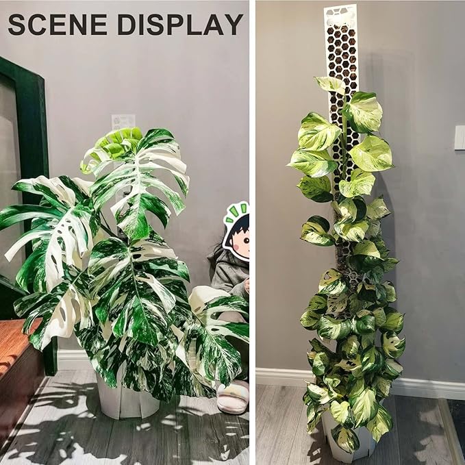 2 Pcs 17 Inch Clear Plastic Moss Pole for Plants Monstera, Designed Specifically for Climbing Plants, Stackable Plant Support for Indoor Plants Work with Sphagnum Moss