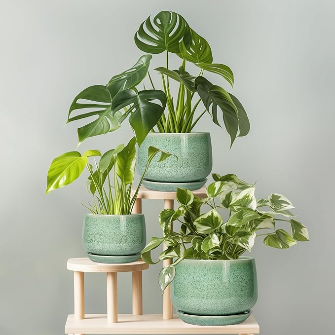 G EPGardening Ceramic Planter - 9 Inch Plant Pot with Drainage Hole and Saucer, Modern Round Planter, Flower Pot for Indoor Outdoor Plants, Garen House Room Decor, Housewarming Gifts, Green