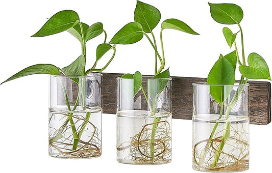Mkono Propagation Station Wall Planter Glass Cylinder Vase Hanging Terrarium for Hydroponics Plant Cutting Indoor Outdoor Decor Brown, Plant Lover Gift