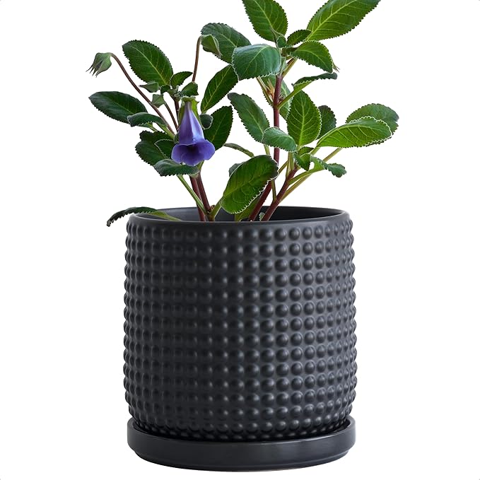 D'vine Dev 6 Inch Ceramic Beaded Stoneware Planter Pot - Flower Pot with Drainage Holes and Saucers for Indoor Succulent Plants or Flowers, Ebony Matte, 27-C-X-6